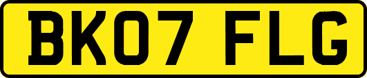 BK07FLG