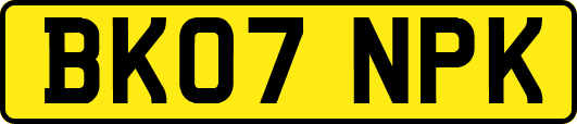 BK07NPK