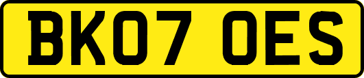 BK07OES