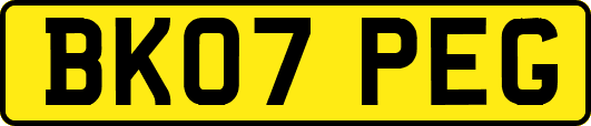 BK07PEG