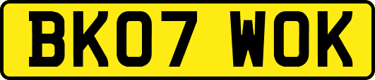 BK07WOK
