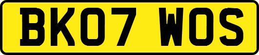 BK07WOS