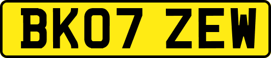 BK07ZEW