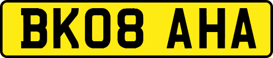 BK08AHA