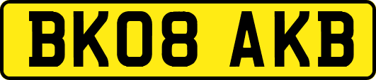 BK08AKB