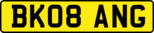 BK08ANG