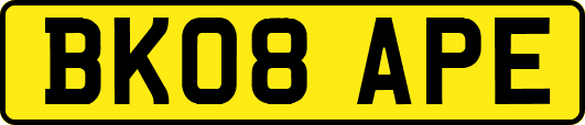 BK08APE