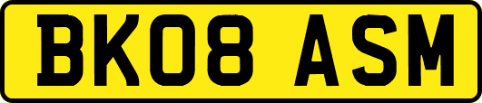 BK08ASM
