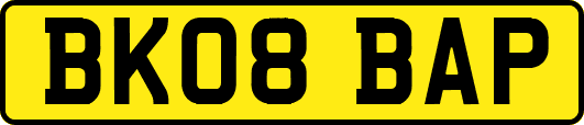BK08BAP