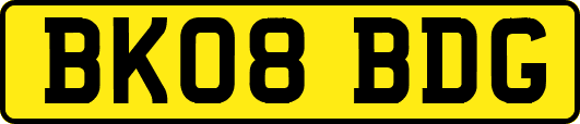 BK08BDG