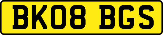 BK08BGS