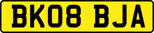 BK08BJA