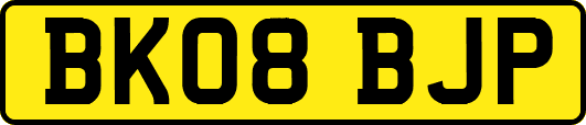 BK08BJP