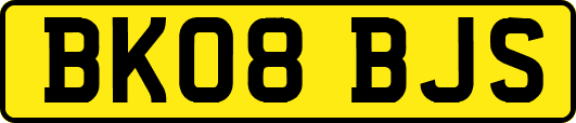 BK08BJS