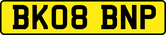 BK08BNP