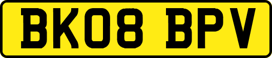 BK08BPV