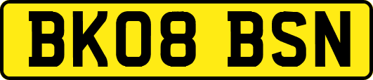 BK08BSN