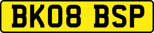 BK08BSP