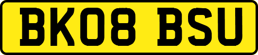 BK08BSU
