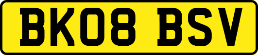BK08BSV
