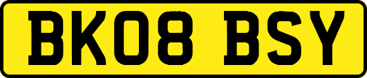 BK08BSY