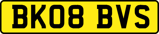 BK08BVS
