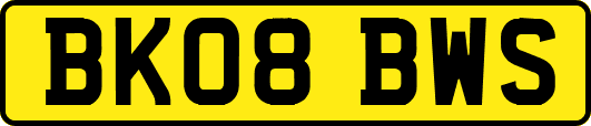 BK08BWS