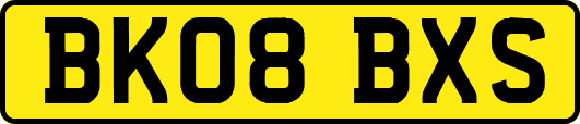 BK08BXS