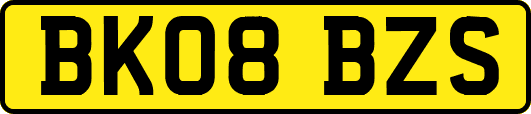 BK08BZS