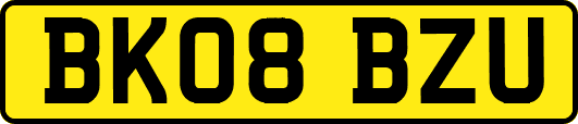 BK08BZU