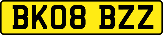 BK08BZZ