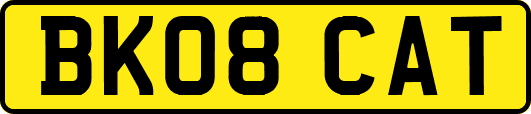 BK08CAT