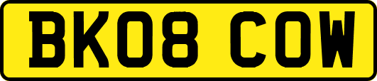 BK08COW