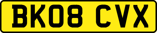 BK08CVX