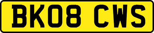 BK08CWS