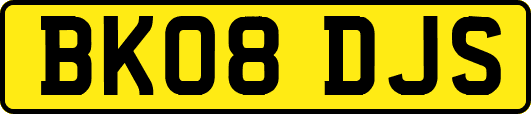 BK08DJS