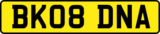 BK08DNA