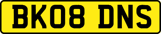 BK08DNS