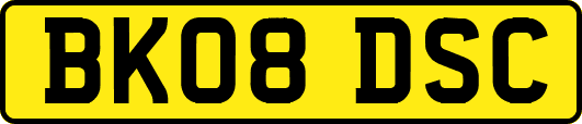 BK08DSC