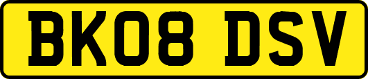 BK08DSV