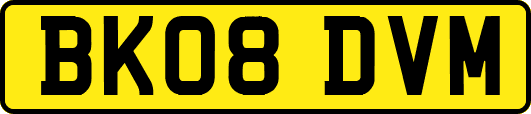 BK08DVM