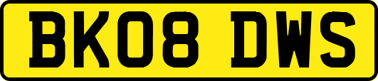 BK08DWS