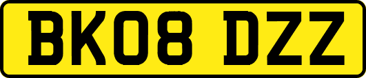 BK08DZZ