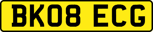 BK08ECG