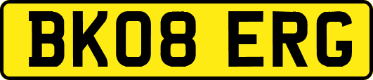 BK08ERG