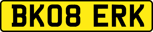 BK08ERK