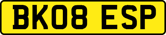 BK08ESP