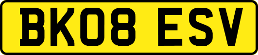 BK08ESV