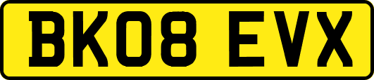 BK08EVX