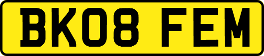 BK08FEM